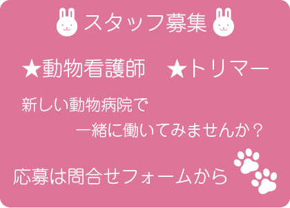 ほほえみ動物病院では動物看護師さん、トリーマーさんを募集しています。