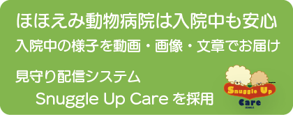 調布・三鷹の動物病院、ほほえみ動物病院では入院中のご家族の様子を動画、画像、文章でお届けします。