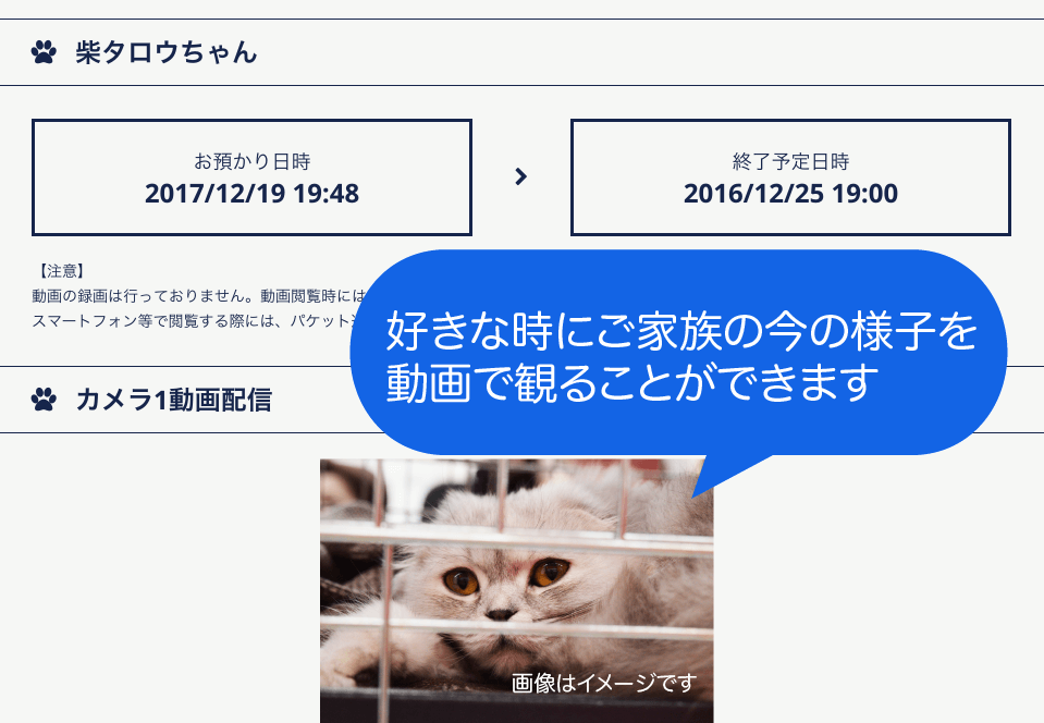 調布市の動物病院では入院中の動物たちの様子を飼い主様に動画でお届けしています。安心してお任せください。