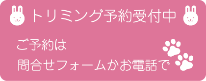 調布・三鷹の動物病院　ほほえみ動物病院ではトリミングも承ります。