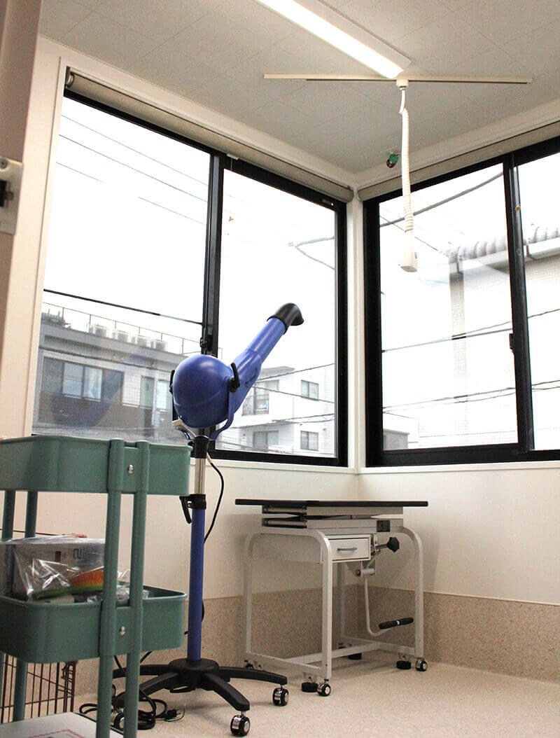 調布・三鷹の動物病院、ほほえみ動物病院ではトリミング室も用意しています。