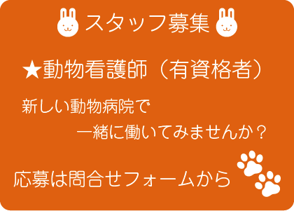 調布・三鷹の動物病院、ほほえみ動物病院では新しい仲間を募集しています。動物看護師経験者はぜひご応募ください。