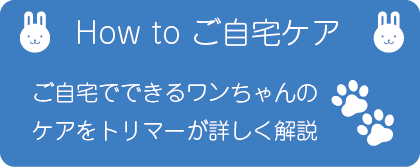 ご自宅でできるワンちゃんのケアをほほえみ動物病院のトリマーが詳しく解説します。