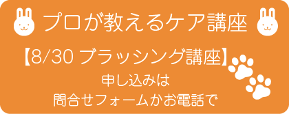 ほほえみ動物病院のトリマーが行うケア講座です。