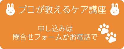 プロが教えるブラッシングケア講座