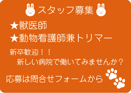 ほほえみ動物病院では獣医師、動物看護師兼トリマーを募集しています。