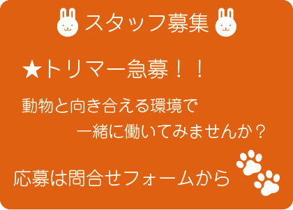 トリマー兼動物看護師を急募しています