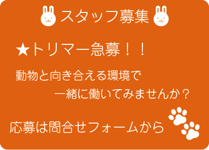 ほほえみ動物病院ではトリマーを募集しています