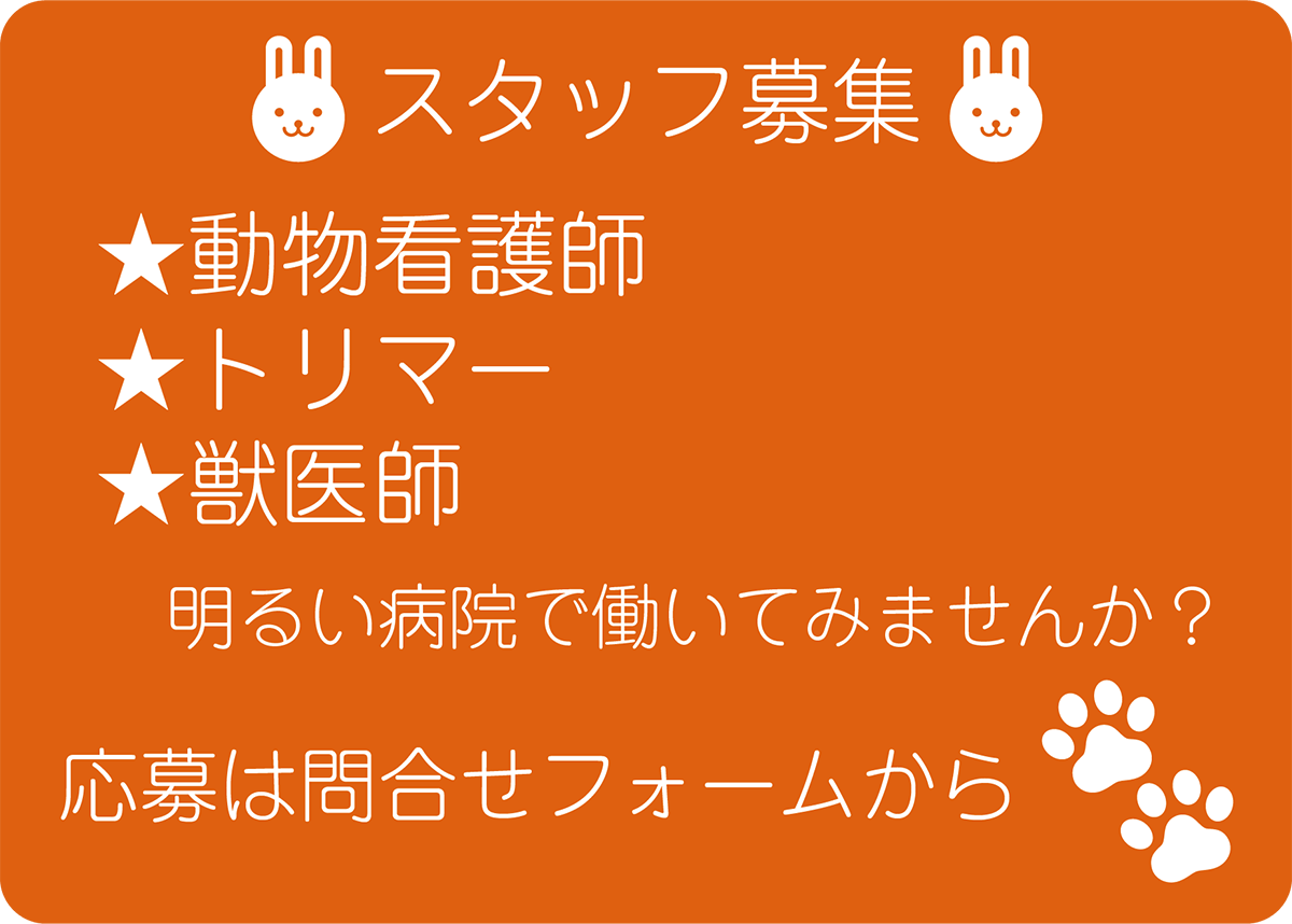 ほほえみ動物病院では動物看護師・トリマー・獣医師を募集しています