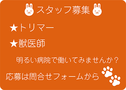 ほほえみ動物病院ではトリマー・獣医師を募集しています