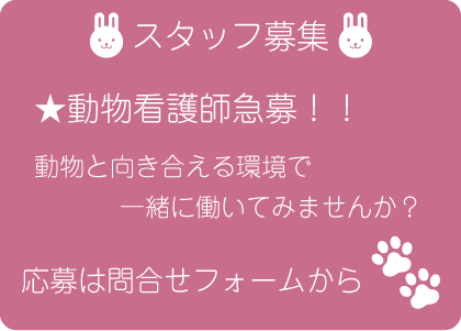 トリマー兼動物看護師を急募しています