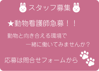 ほほえみ動物病院では動物看護師を募集しています