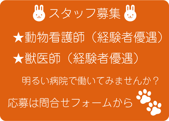 採用情報