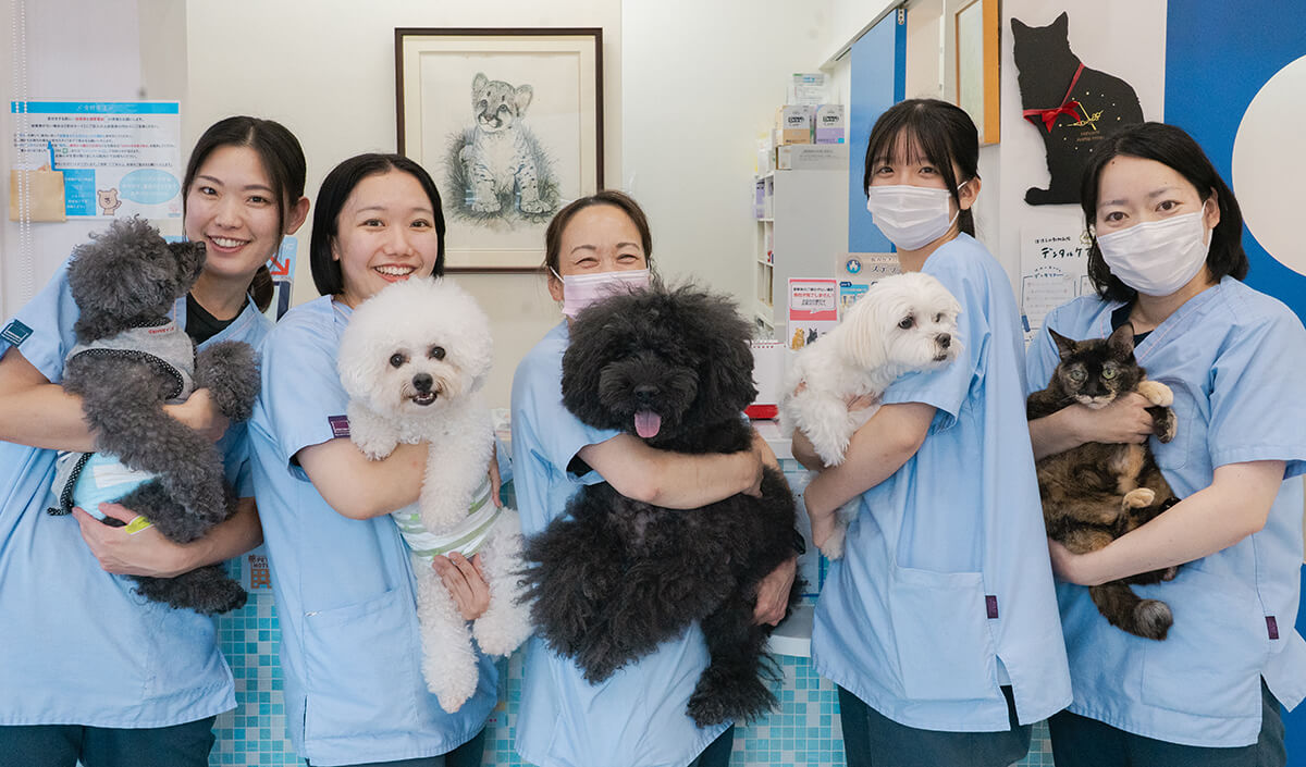 チームほほえみ動物病院